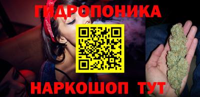 Альфа ПВП Усть-Илимск