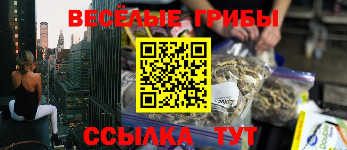 Псилоцибиновые грибы Psilocybine cubensis Новый Уренгой